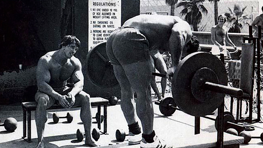 Ted arcidi 2025 workout
